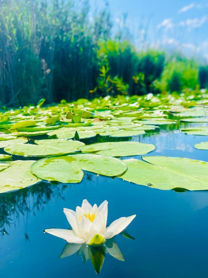 Dunavăţu de Jos Danube Delta View酒店 外观 照片