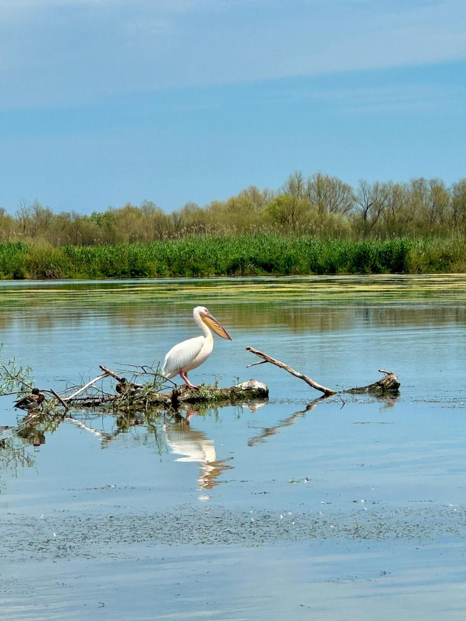 Dunavăţu de Jos Danube Delta View酒店 外观 照片